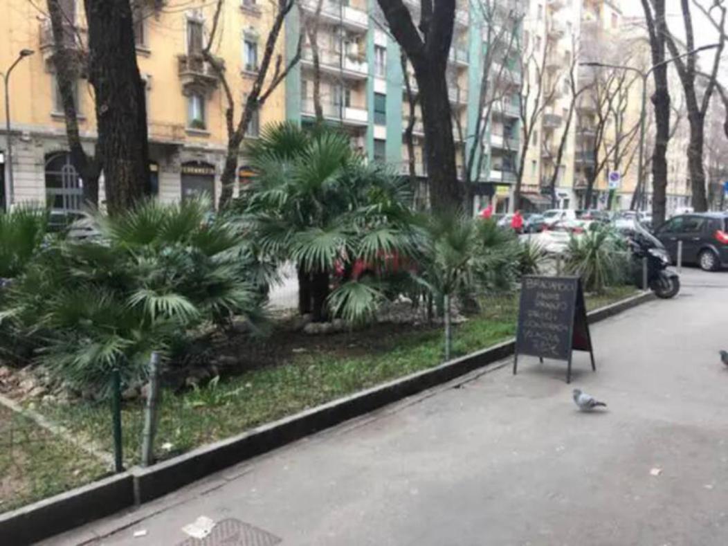 Romantica Mansarda 15 Min Dal Centro - Lome 844 Milaan Buitenkant foto